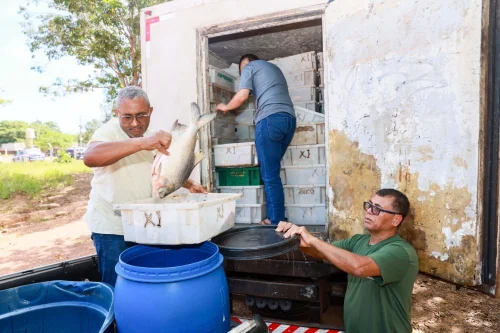 Empresa é multada em R$ 104 mil por transportar 5 toneladas de peixes sem nota fiscal no Tocantins