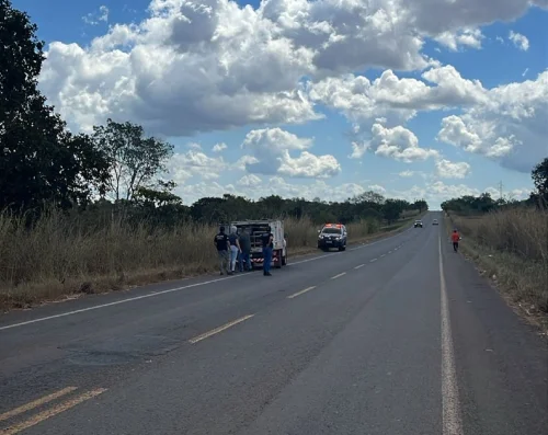 Corpo encontrado em rodovia do Tocantins pode ser de homem desaparecido há 11 dias