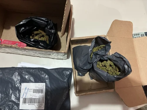 Homem é preso após despachar maconha em transportadora de Palmas