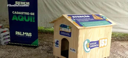 Prefeitura de Palmas lança projetos inovadores para proteção de animais de rua