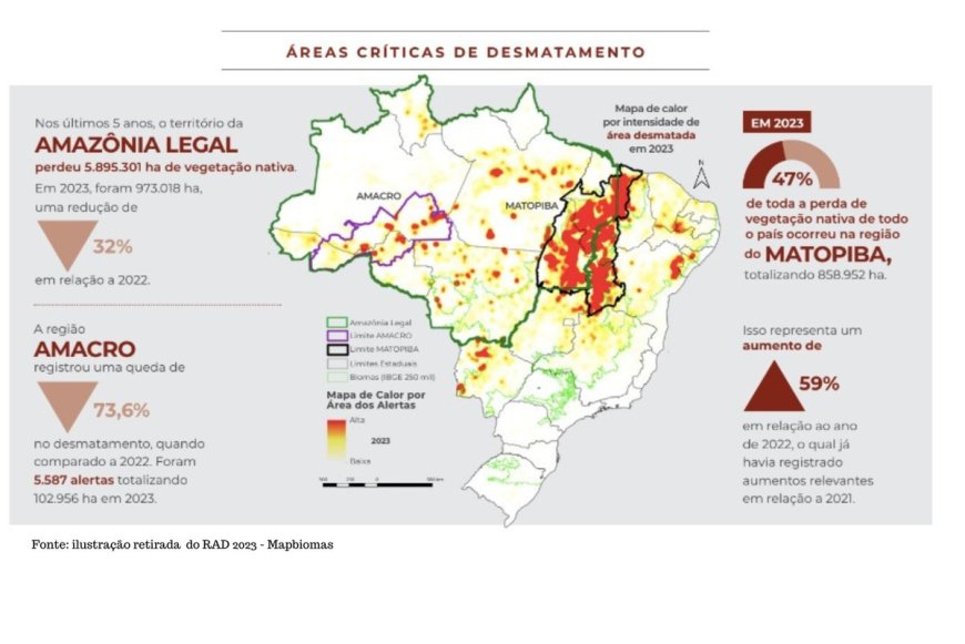 Aumento alarmante do desmatamento no estado de Tocantins preocupa ambientalistas